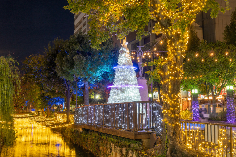 岡山の冬を彩るイルミネーションスポット12選【2025年度版】